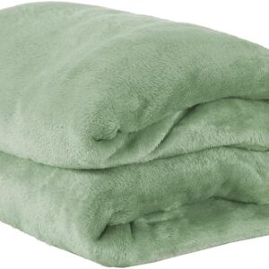 Cobertor Queen Manta Microfibra Fleece 01 Peça